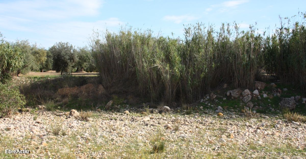 Ruta: Masdenverge - Basses de la Foia | EbreActiu.cat, revista digital de ocio activo | Terres de l’Ebre... Ruta: Masdenverge - Basses de la Foia | EbreActiu.cat, revista digital de ocio activo | Terres de l’Ebre...