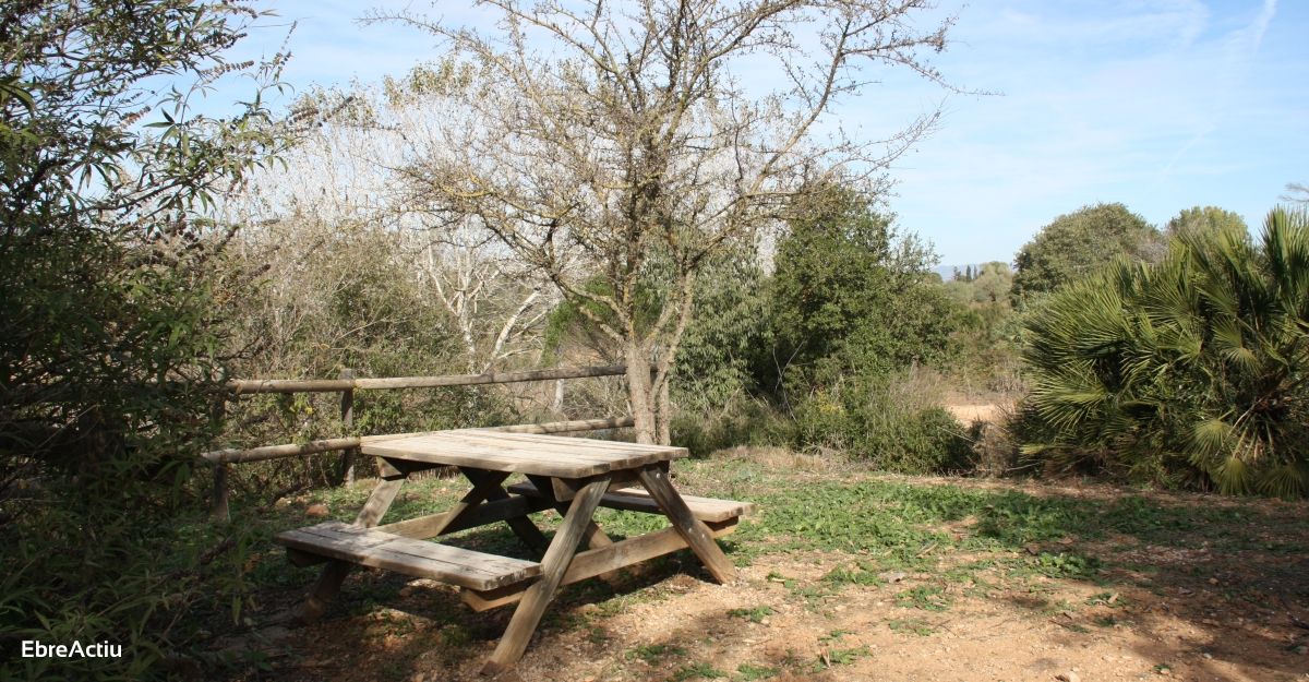 Ruta: Masdenverge - Basses de la Foia | EbreActiu.cat, revista digital de ocio activo | Terres de l’Ebre... Ruta: Masdenverge - Basses de la Foia | EbreActiu.cat, revista digital de ocio activo | Terres de l’Ebre...