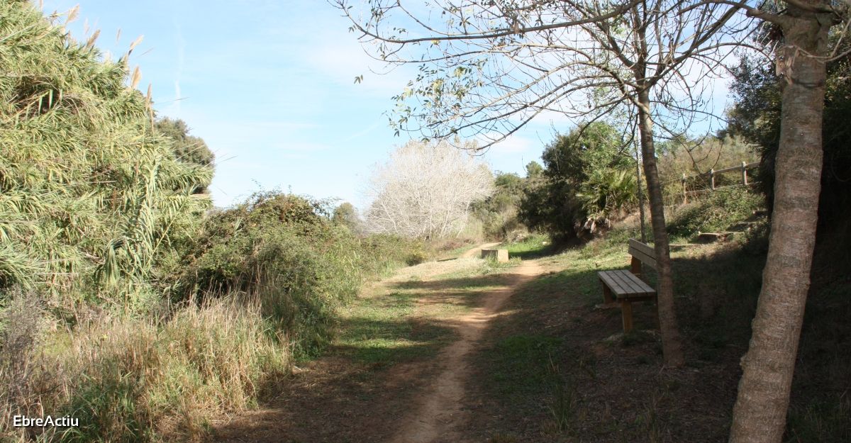 Ruta: Masdenverge - Basses de la Foia | EbreActiu.cat, revista digital de ocio activo | Terres de l’Ebre... Ruta: Masdenverge - Basses de la Foia | EbreActiu.cat, revista digital de ocio activo | Terres de l’Ebre...