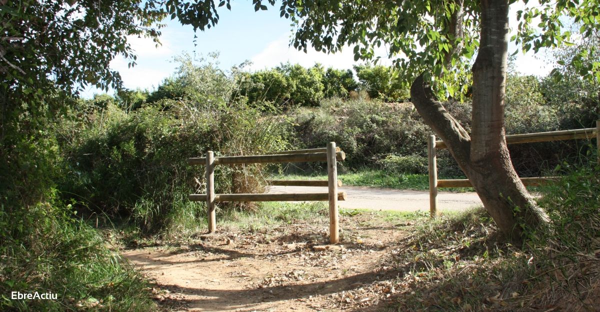Ruta: Masdenverge - Basses de la Foia | EbreActiu.cat, revista digital de ocio activo | Terres de l’Ebre... Ruta: Masdenverge - Basses de la Foia | EbreActiu.cat, revista digital de ocio activo | Terres de l’Ebre...