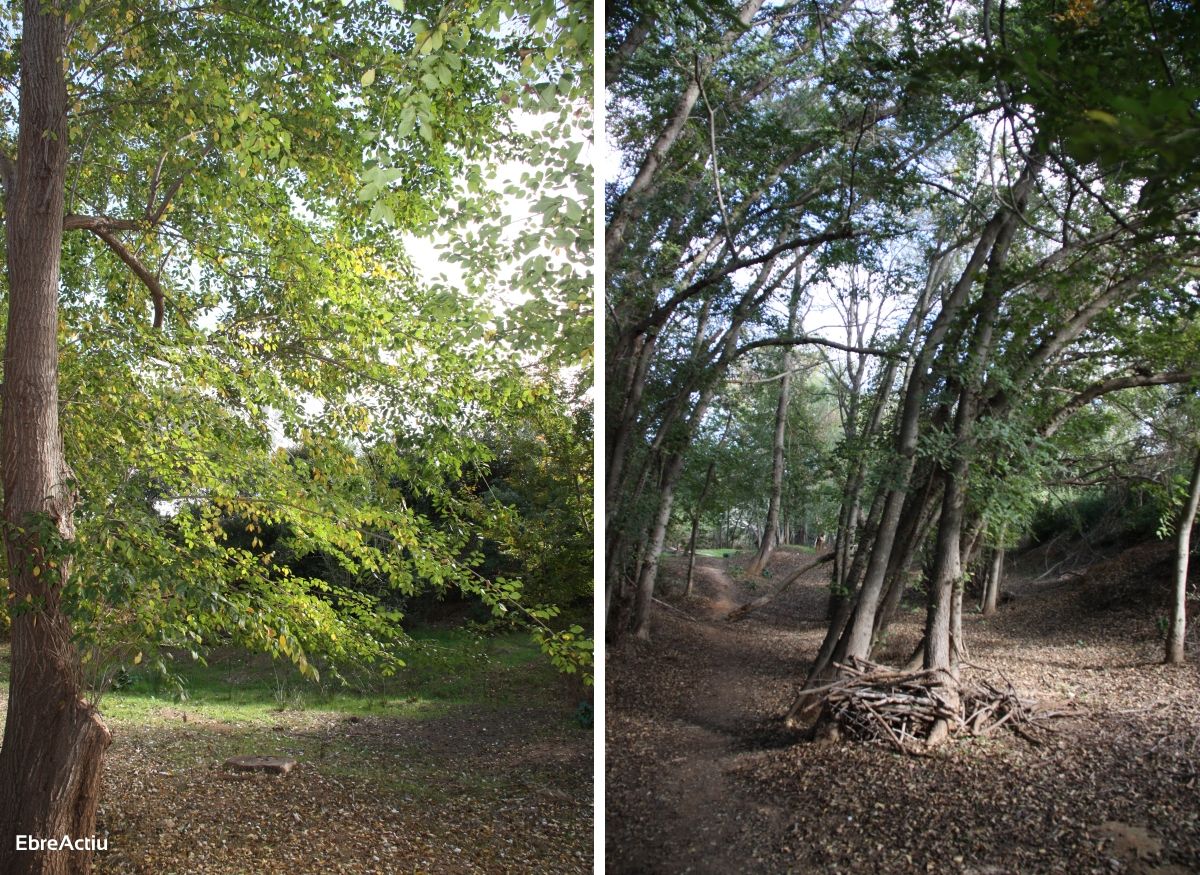 Ruta: Masdenverge - Basses de la Foia | EbreActiu.cat, revista digital de ocio activo | Terres de l’Ebre... Ruta: Masdenverge - Basses de la Foia | EbreActiu.cat, revista digital de ocio activo | Terres de l’Ebre...
