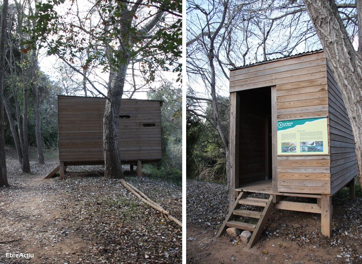 Ruta: Masdenverge - Basses de la Foia | EbreActiu.cat, revista digital de ocio activo | Terres de l&rsquo;Ebre...