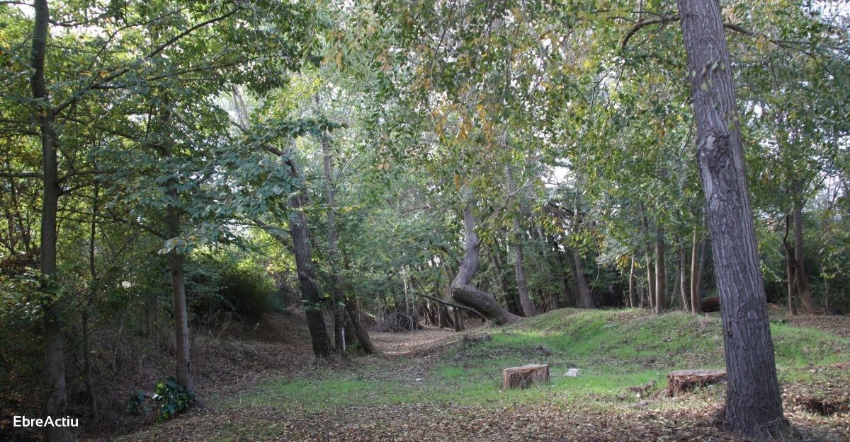 Ruta: Masdenverge - Basses de la Foia | EbreActiu.cat, revista digital de ocio activo | Terres de l’Ebre... Ruta: Masdenverge - Basses de la Foia | EbreActiu.cat, revista digital de ocio activo | Terres de l’Ebre...