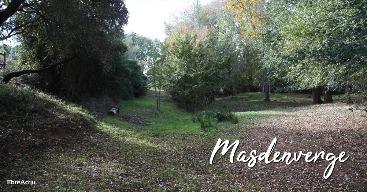 Masdenverge