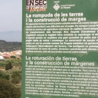 �lbum: La Serreta de Freginals