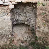 �lbum: La Serreta de Freginals