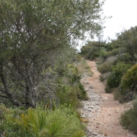 �lbum: La Serreta de Freginals