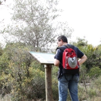 �lbum: La Serreta de Freginals