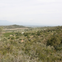 �lbum: La Serreta de Freginals