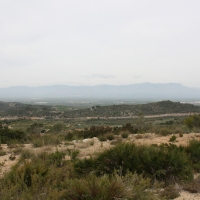 �lbum: La Serreta de Freginals