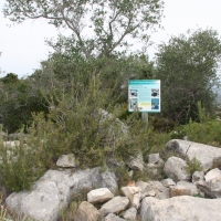 �lbum: La Serreta de Freginals