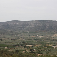 �lbum: La Serreta de Freginals