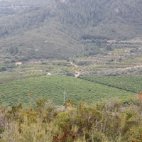 �lbum: La Serreta de Freginals