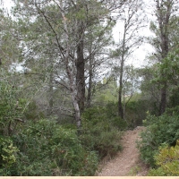 �lbum: La Serreta de Freginals