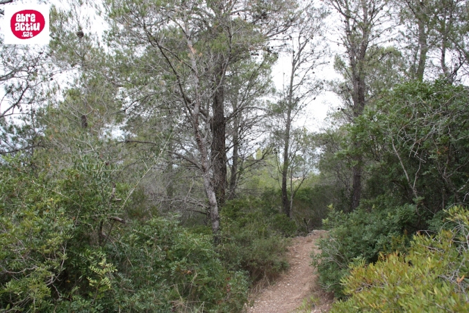 La Serreta de Freginals | EbreActiu.cat, revista digital d&rsquo;oci actiu | Terres de l&rsquo;Ebre ...