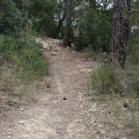 �lbum: La Serreta de Freginals