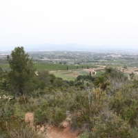 �lbum: La Serreta de Freginals