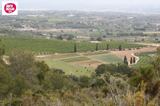 La Serreta de Freginals | EbreActiu.cat, revista digital d&rsquo;oci actiu | Terres de l&rsquo;Ebre ...