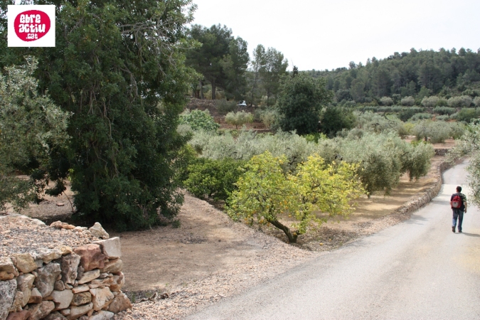 La Serreta de Freginals | EbreActiu.cat, revista digital d&rsquo;oci actiu | Terres de l&rsquo;Ebre ...