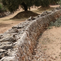 �lbum: La Serreta de Freginals