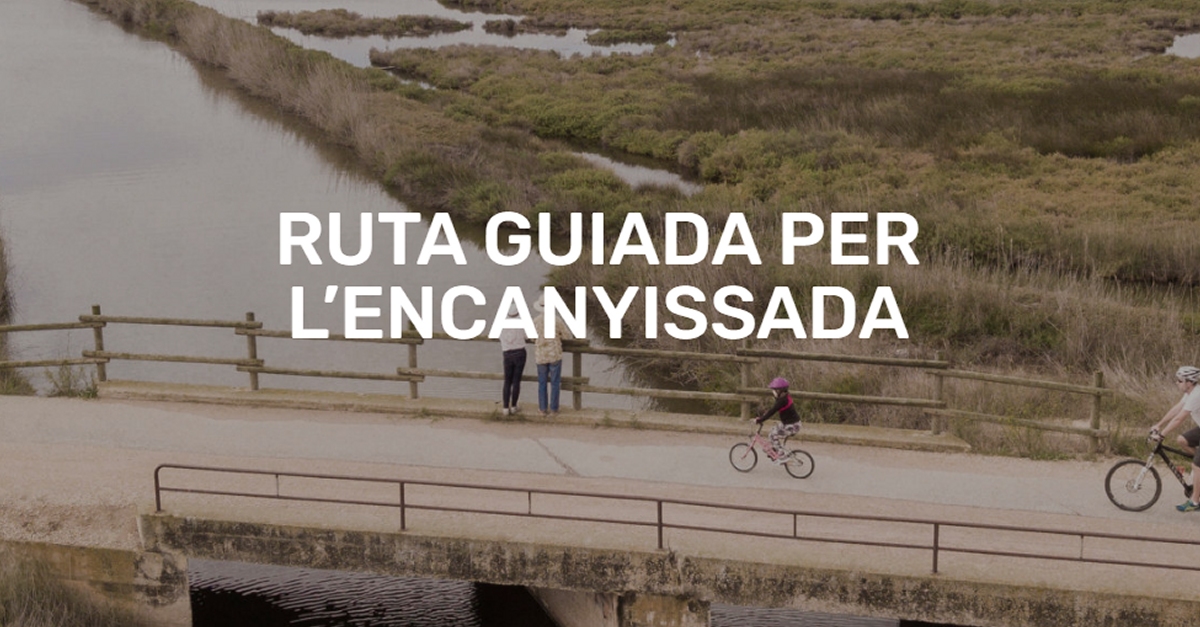 Ruta guiada per la llacuna de l�Encanyissada