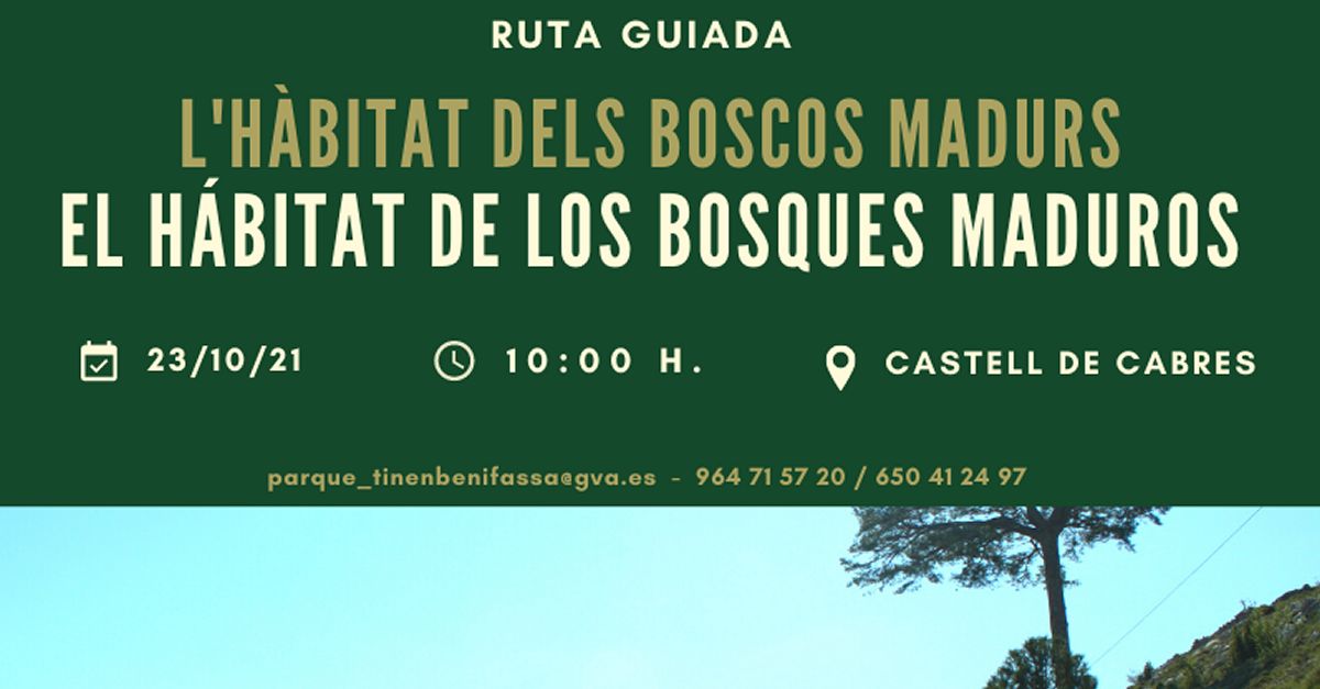 Ruta guiada:El h�bitat de los Bosques Maduros