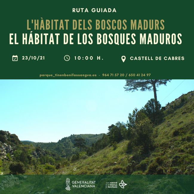 Ruta guiada: L’hàbitat dels Boscos Madurs Ruta guiada: L’hàbitat dels Boscos Madurs
