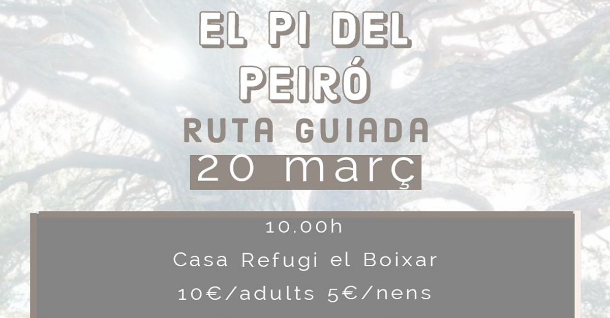 Ruta guiada: El Pino del Peir�
