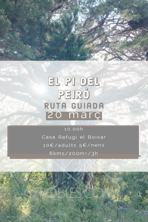 Ruta guiada: El Pi del Peir�