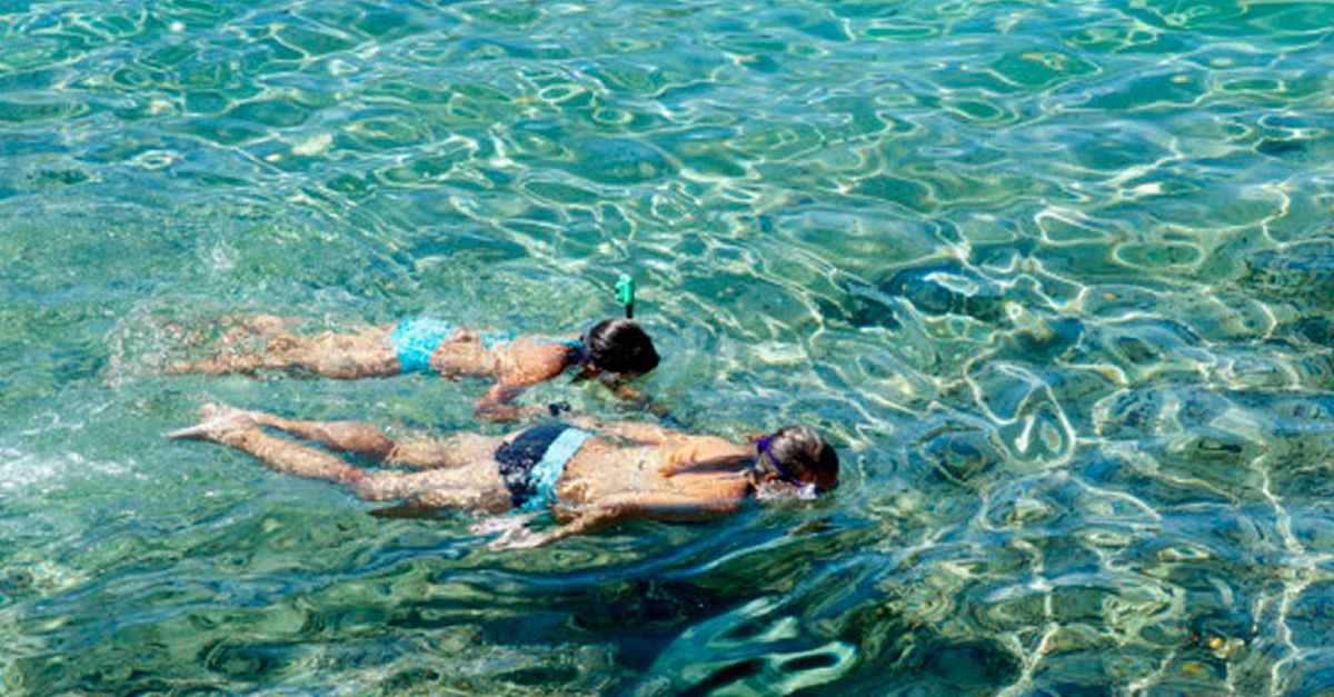 Ruta guiada d�snorkel