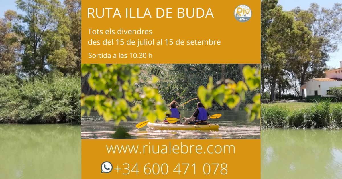 Sortida guiada en caiac a l�illa de Buda amb Riu a l�Ebre