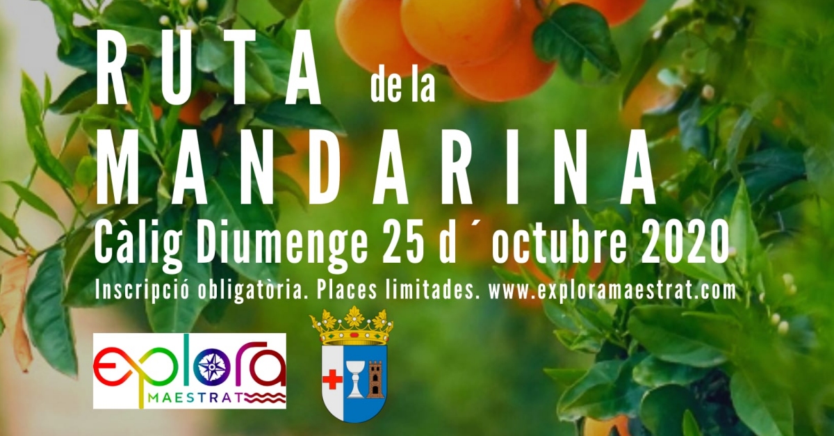 Ruta de la mandarina pel terme de C�lig