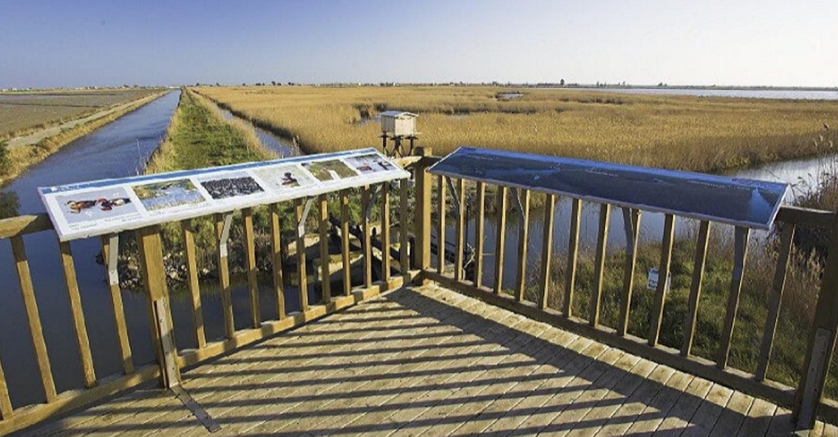 Ruta de naturaleza: l&rsquo;Embut