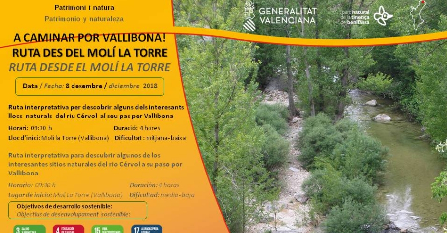 A caminar per Vallibona. Ruta des del Mol� la Torre