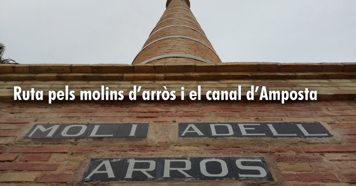 Ruta guiada pels molins d�arr�s i canal d�Amposta