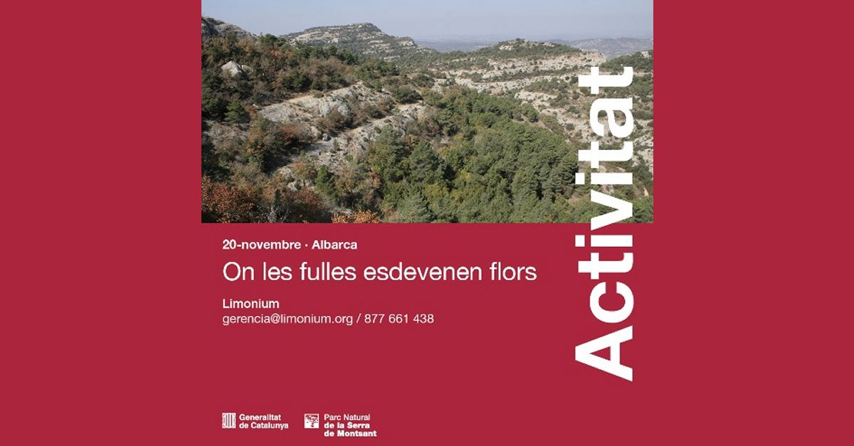 Ruta circular de todo un d�a: On les fulles esdevenen flors