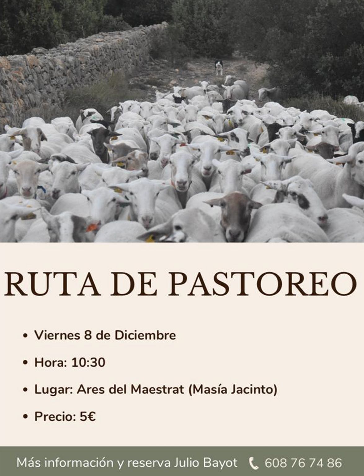 Ruta de pastoreig Ruta de pastoreig