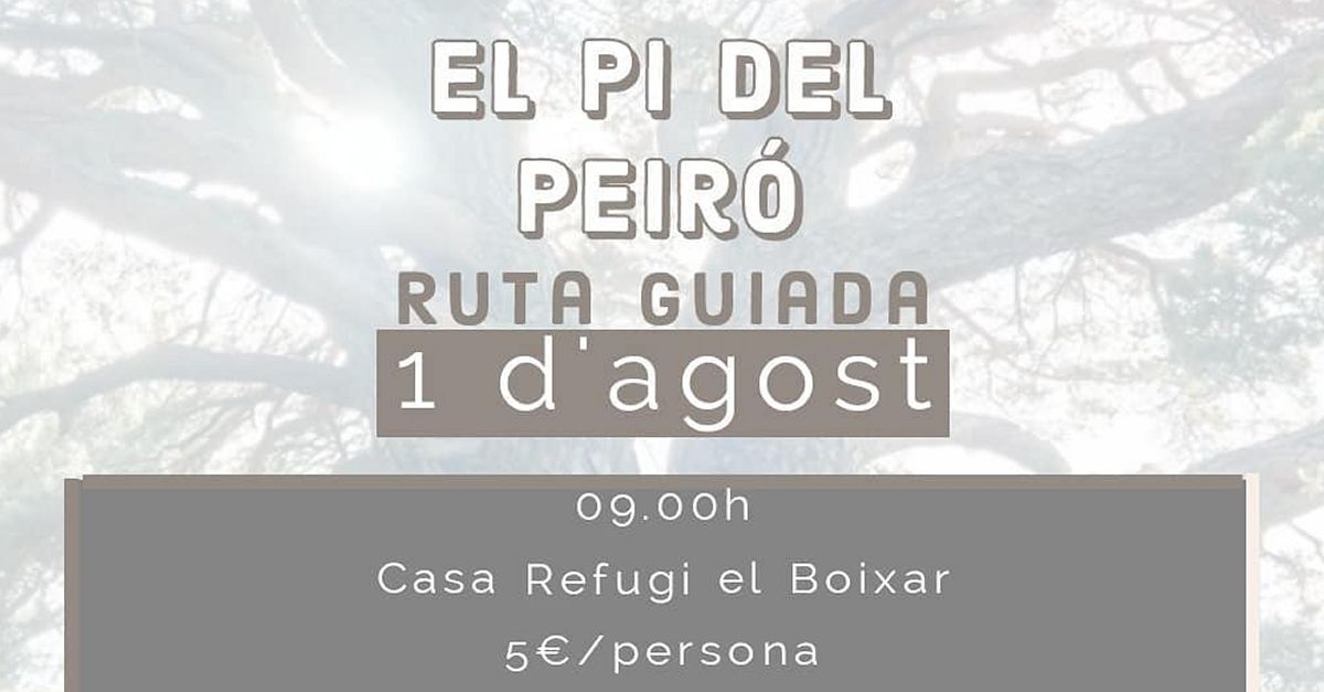 Ruta guiada El Pi del Peir�