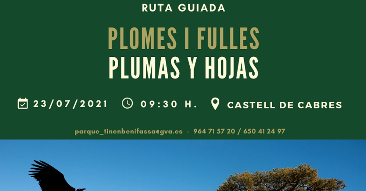 Ruta guiada a la Tinen�a de Benifass�: Plomes i fulles