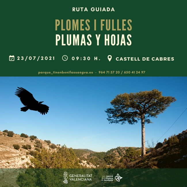 Ruta guiada a la Tinen�a de Benifass�: Plomes i fulles