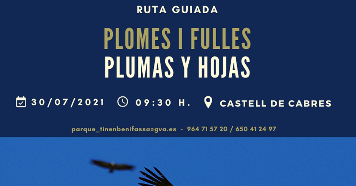 Ruta guiada a la Tinen�a de Benifass�: Plomes i fulles