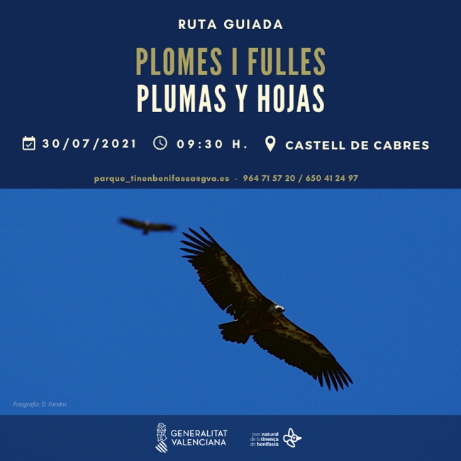 Ruta guiada a la Tinen�a de Benifass�: Plomes i fulles