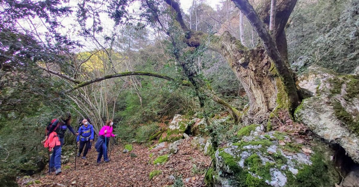 Ruta guiada de senderisme a la Tinen�a de Benifass�