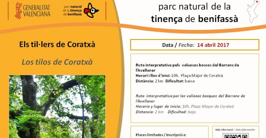 Els til·lers de Coratxà Els til·lers de Coratxà