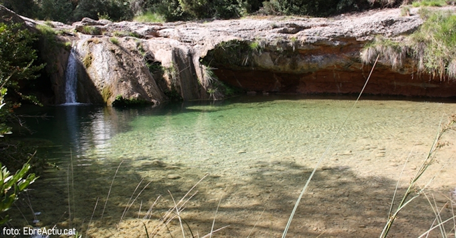 lbum: Toll del Vidre - Mas de Pau (Arnes)