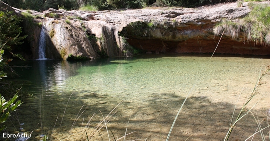 Del Toll del Vidre fins al Mas de Pau