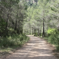 �lbum: Toll del Vidre - Mas de Pau (Arnes)