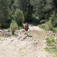 �lbum: Toll del Vidre - Mas de Pau (Arnes)