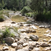 �lbum: Toll del Vidre - Mas de Pau (Arnes)