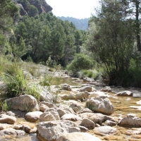 �lbum: Toll del Vidre - Mas de Pau (Arnes)